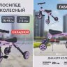 Велосипед трехколесный N.ergo A003 LAVENDER