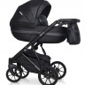 Коляска 2 в 1 Riko Basic Delta Ecco 15 Black (черный)